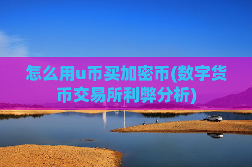 怎么用u币买加密币(数字货币交易所利弊分析)