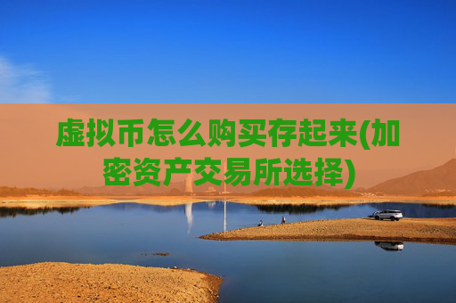 虚拟币怎么购买存起来(加密资产交易所选择)