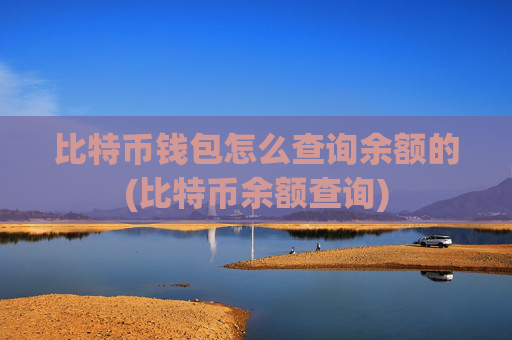 比特币钱包怎么查询余额的(比特币余额查询)