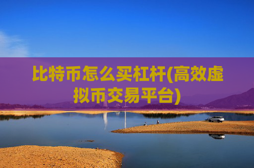 比特币怎么买杠杆(高效虚拟币交易平台)