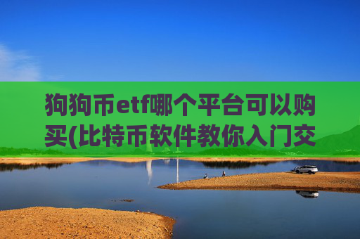 狗狗币etf哪个平台可以购买(比特币软件教你入门交易)