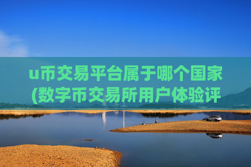 u币交易平台属于哪个国家(数字币交易所用户体验评测)