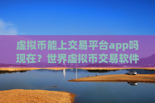 虚拟币能上交易平台app吗现在?世界虚拟币交易软件排名
