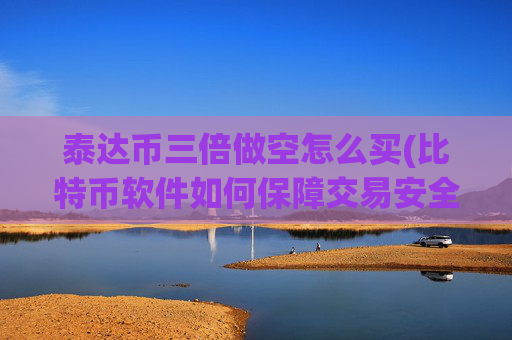 泰达币三倍做空怎么买(比特币软件如何保障交易安全)