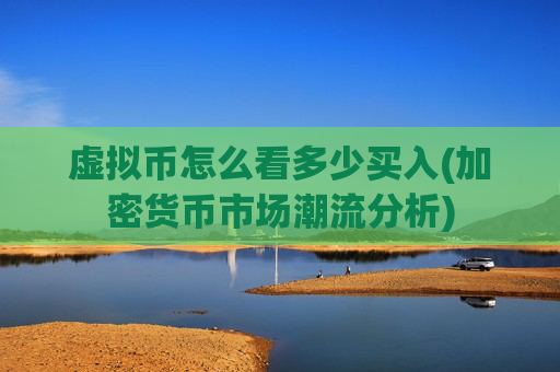 虚拟币怎么看多少买入(加密货币市场潮流分析)