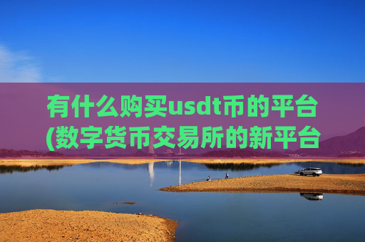 有什么购买usdt币的平台(数字货币交易所的新平台)