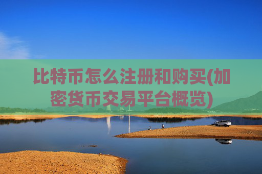 比特币怎么注册和购买(加密货币交易平台概览)
