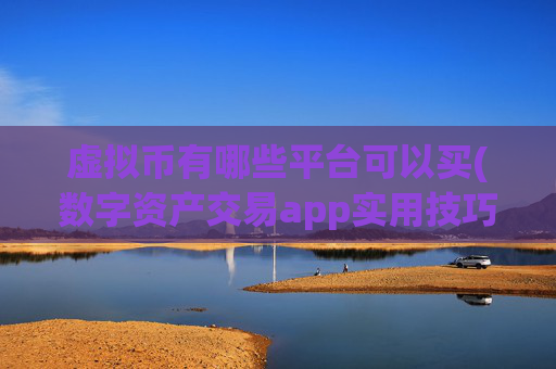虚拟币有哪些平台可以买(数字资产交易app实用技巧)