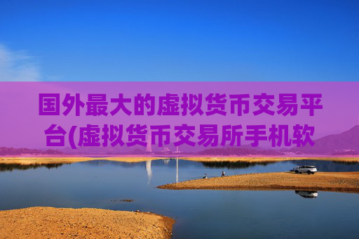 国外最大的虚拟货币交易平台(虚拟货币交易所手机软件推荐)