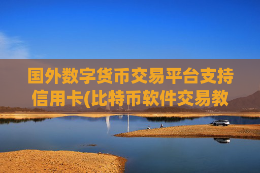 国外数字货币交易平台支持信用卡(比特币软件交易教程分享)