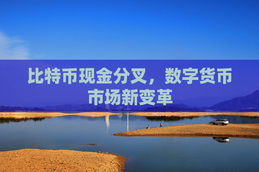 比特币现金分叉，数字货币市场新变革