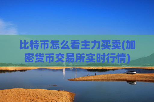 比特币怎么看主力买卖(加密货币交易所实时行情)