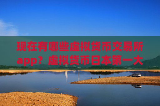 现在有哪些虚拟货币交易所app?虚拟货币日本第一大交易所