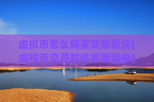 虚拟币怎么购买交易系统(虚拟币交易软件界面清晰)