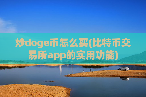 炒doge币怎么买(比特币交易所app的实用功能)