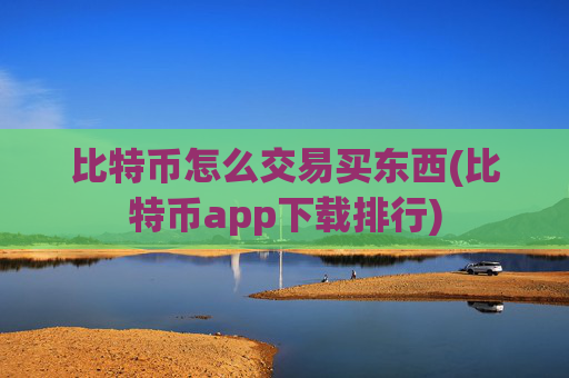 比特币怎么交易买东西(比特币app下载排行)