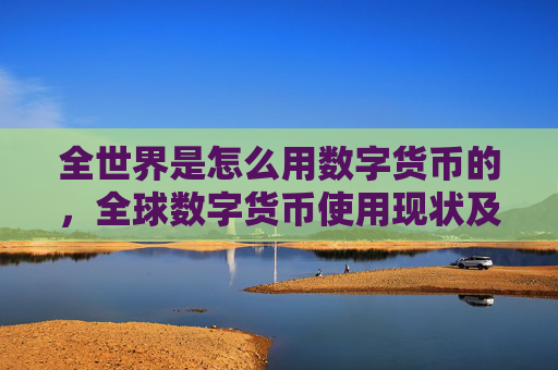 全世界是怎么用数字货币的,全球数字货币使用现状及趋势