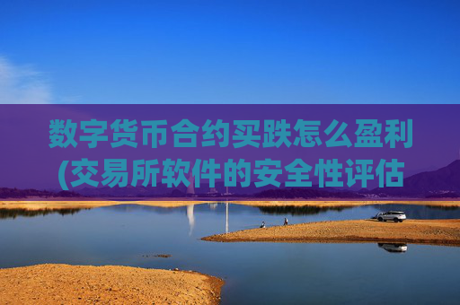 数字货币合约买跌怎么盈利(交易所软件的安全性评估)