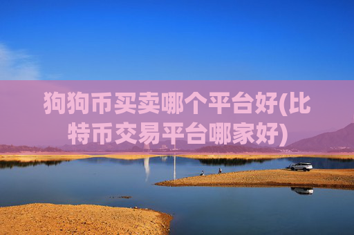 狗狗币买卖哪个平台好(比特币交易平台哪家好)