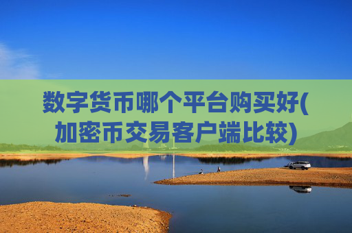 数字货币哪个平台购买好(加密币交易客户端比较)