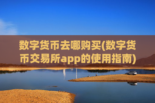 数字货币去哪购买(数字货币交易所app的使用指南)