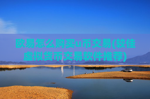 欧易怎么购买u币交易(较佳虚拟货币交易软件推荐)