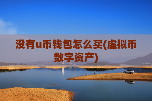没有u币钱包怎么买(虚拟币数字资产)