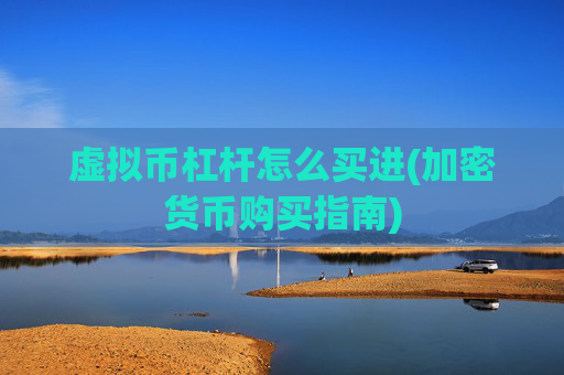 虚拟币杠杆怎么买进(加密货币购买指南)