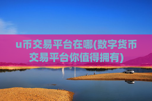 u币交易平台在哪(数字货币交易平台你值得拥有)