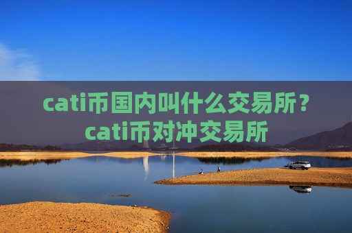 cati币国内叫什么交易所?cati币对冲交易所