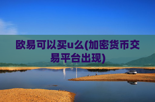 欧易可以买u么(加密货币交易平台出现)