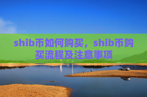 shib币如何购买，shib币购买流程及注意事项