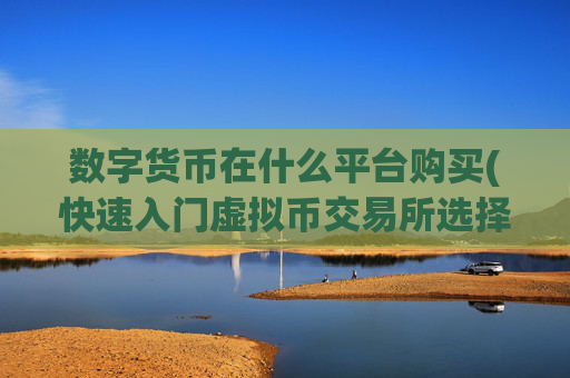 数字货币在什么平台购买(快速入门虚拟币交易所选择攻略)