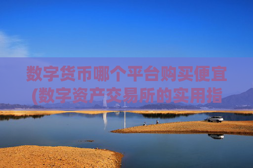数字货币哪个平台购买便宜(数字资产交易所的实用指南)