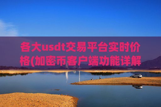 各大usdt交易平台实时价格(加密币客户端功能详解)