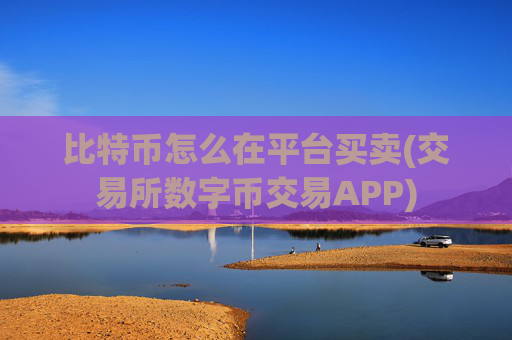 比特币怎么在平台买卖(交易所数字币交易APP)