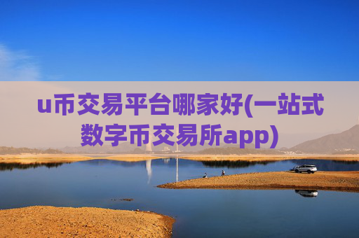 u币交易平台哪家好(一站式数字币交易所app)