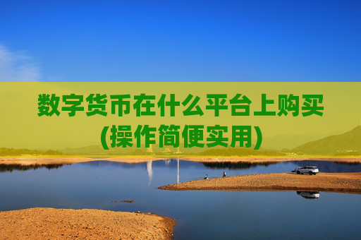 数字货币在什么平台上购买(操作简便实用)