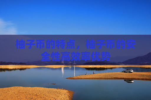 柚子币的特点,柚子币的安全性高效率优势