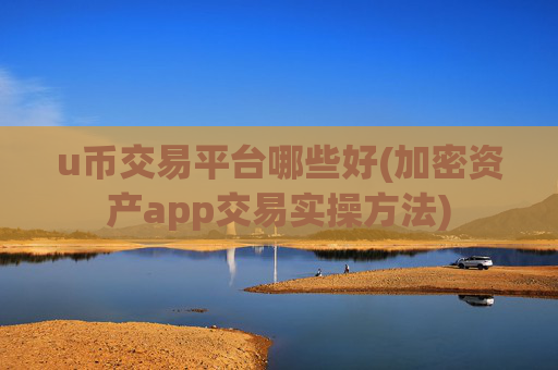 u币交易平台哪些好(加密资产app交易实操方法)