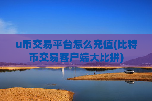 u币交易平台怎么充值(比特币交易客户端大比拼)