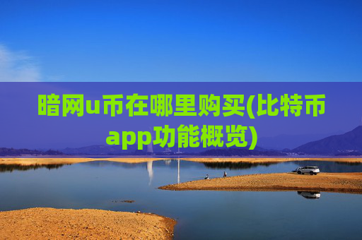暗网u币在哪里购买(比特币app功能概览)