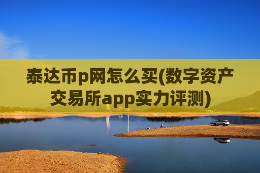 泰达币p网怎么买(数字资产交易所app实力评测)