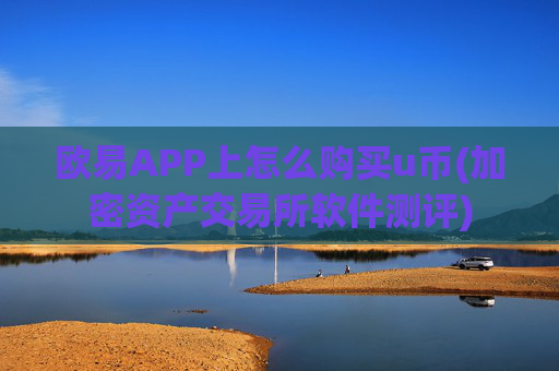 欧易APP上怎么购买u币(加密资产交易所软件测评)