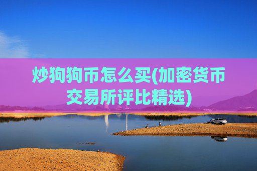 炒狗狗币怎么买(加密货币交易所评比精选)
