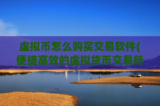 虚拟币怎么购买交易软件(便捷高效的虚拟货币交易所)