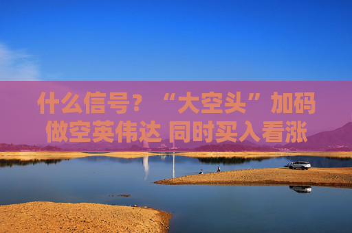 什么信号?“大空头”加码做空英伟达 同时买入看涨期权