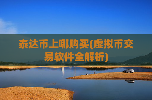 泰达币上哪购买(虚拟币交易软件全解析)