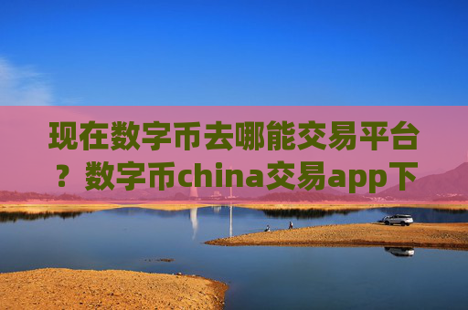 现在数字币去哪能交易平台?数字币china交易app下载0几年的网页