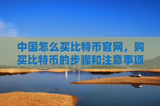 中国怎么买比特币官网，购买比特币的步骤和注意事项